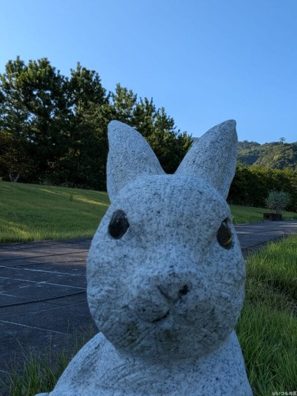 google pixel 9 pro fold の外側前面カメラでズーム撮影した写真 | モバイル比較レビュー.jp Google Pixel 9 Pro Fold カメラ Google Pixel 9 Pro Fold の外側前面カメラでズーム撮影した写真