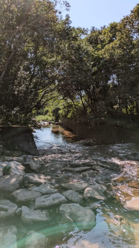 Google Pixel 8a カメラ Google Pixel 8aで撮影した風景写真