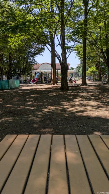 Google Pixel 8a カメラ Google Pixel 8aで撮影した風景写真