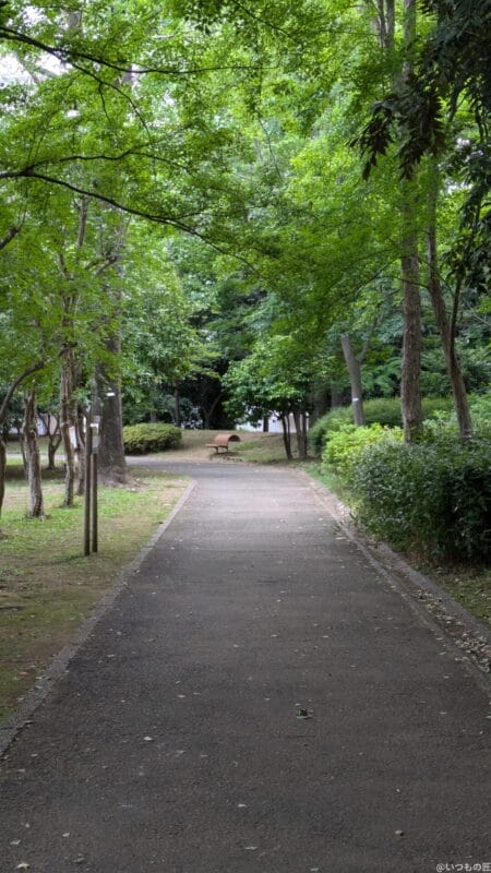 Google Pixel 8a カメラ Google Pixel 8aで撮影した風景写真