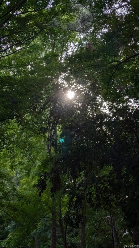 Google Pixel 8a カメラ Google Pixel 8aで撮影した風景写真