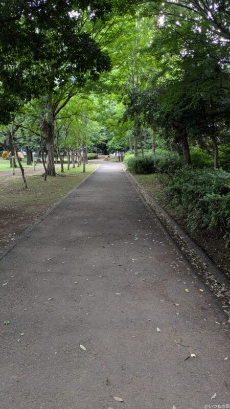 Google Pixel 8a カメラ Google Pixel 8aで撮影した風景写真