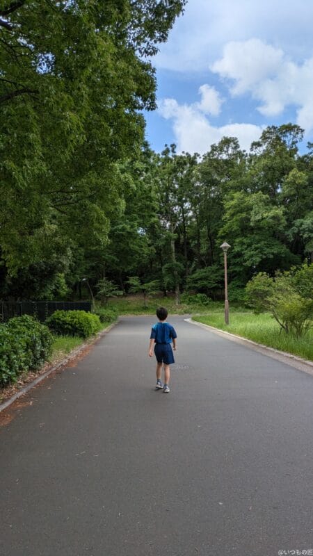 Google Pixel 8a カメラ Google Pixel 8aで撮影した人物写真