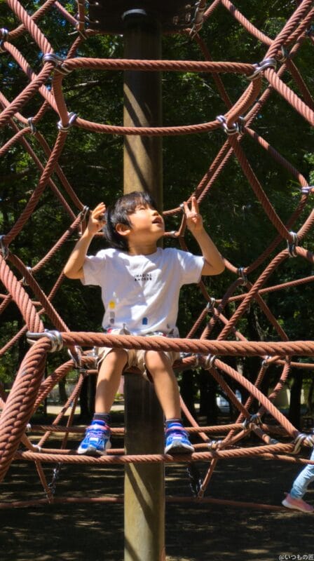 Google Pixel 8a カメラ Google Pixel 8aで撮影したポートレート写真