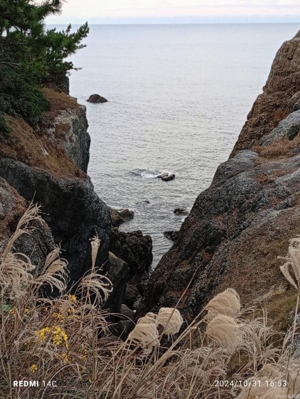 Xiaomi Redmi 14C カメラ Xiaomi Redmi 14C で撮影した風景写真