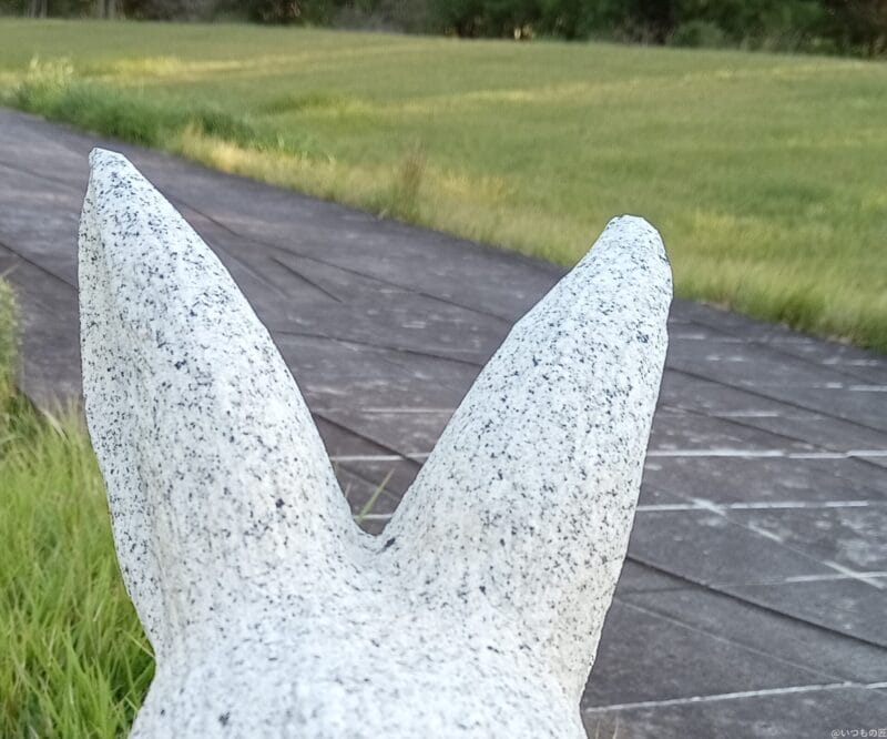 Xiaomi Redmi 14C カメラ Xiaomi Redmi 14C インカメラで撮影した写真