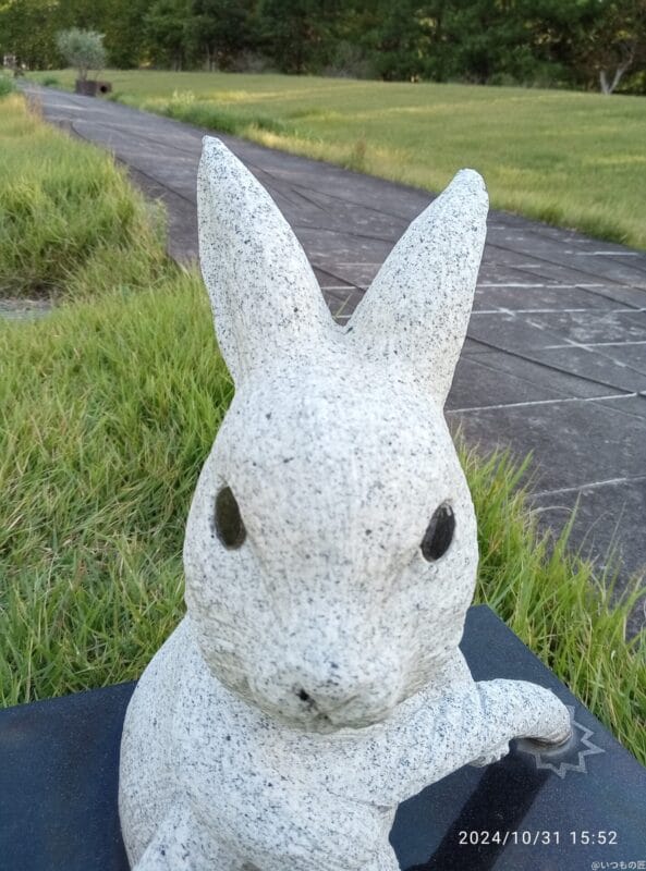 Xiaomi Redmi 14C カメラ Xiaomi Redmi 14C インカメラで撮影した写真