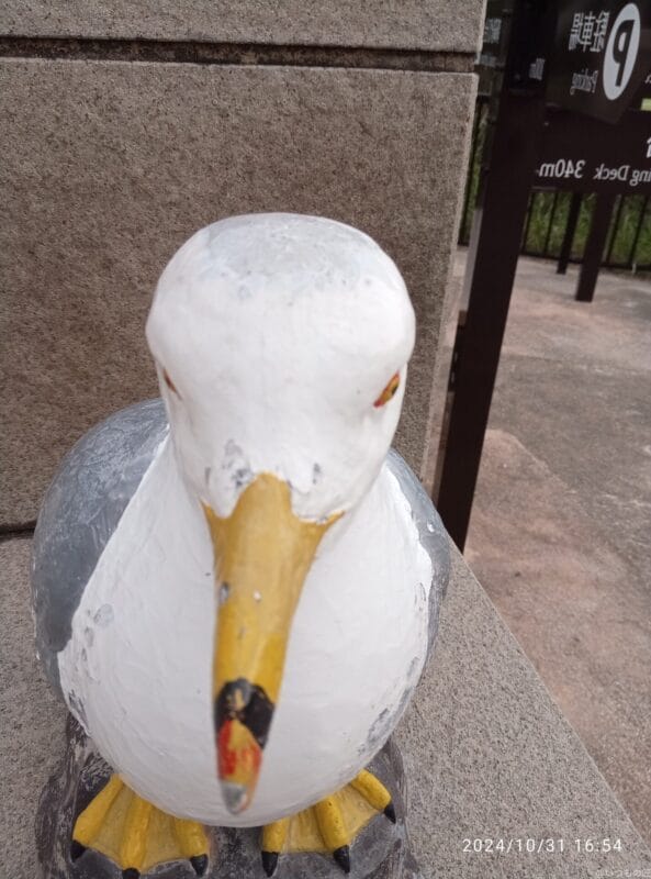 Xiaomi Redmi 14C カメラ Xiaomi Redmi 14C インカメラで撮影した写真