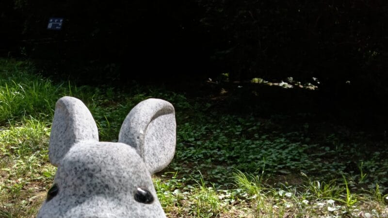 AQUOS wish4 レビュー AQUOS wish4 インカメラで撮影した写真