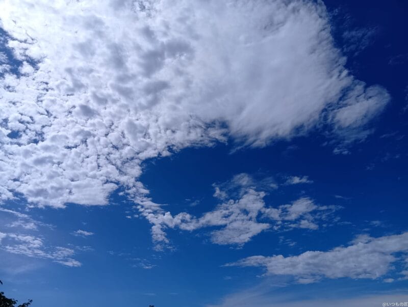 AQUOS wish4 レビュー AQUOS wish4で撮影した風景写真