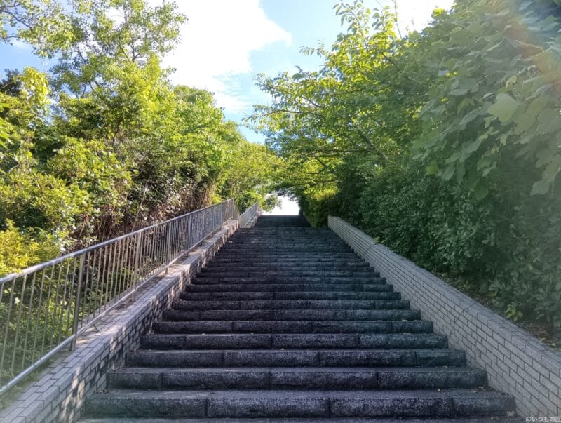 Xiaomi Redmi 14C カメラ AQUOS wish4で撮影した風景写真