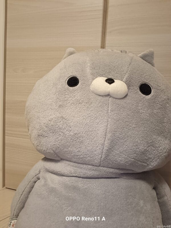 OPPO Reno11 A レビュー OPPO Reno11 A のインカメラで撮影した写真