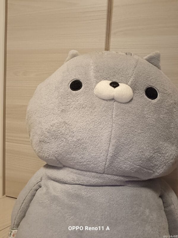 OPPO Reno11 A カメラ OPPO Reno11 Aのインカメラで撮影したぬいぐるみの写真