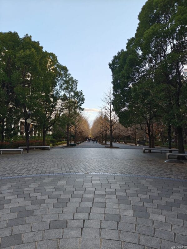 AQUOS R9 pro カメラ AQUOS R9 pro で撮影した風景写真