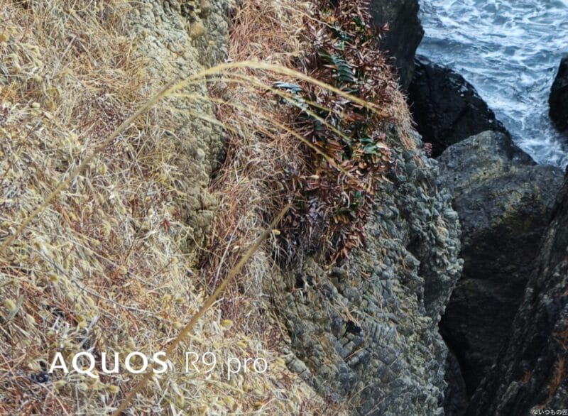 AQUOS R9 pro カメラ AQUOS R9 proで撮影した風景写真