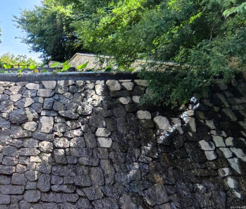 aquos wish4 カメラでhdr撮影した風景写真 | モバイル比較レビュー.jp moto g64 5G カメラ AQUOS wish4 カメラでHDR撮影した風景写真