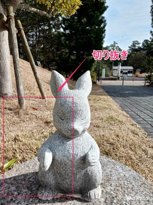 OPPO A3 5G カメラ OPPO A3 5G インカメラでズ撮影した写真