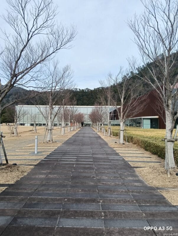 OPPO A3 5G レビュー OPPO A3 5Gで撮影した風景写真