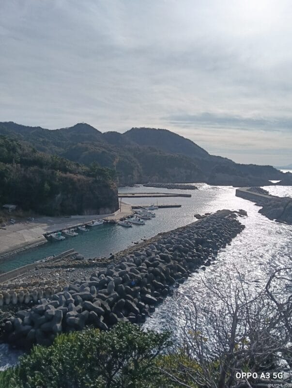 OPPO A3 5G レビュー OPPO A3 5Gで撮影した風景写真