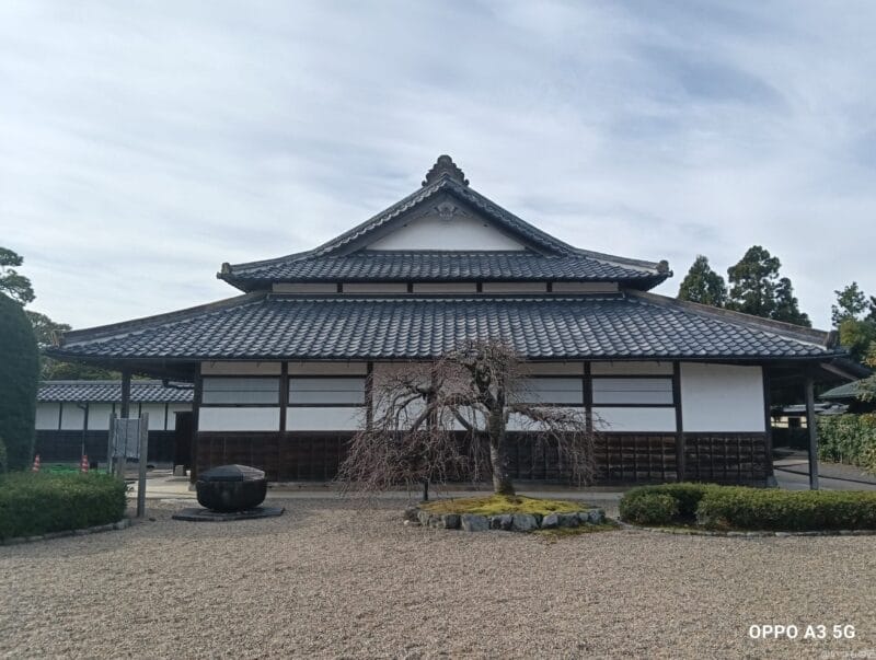 OPPO A3 5G カメラ OPPO A3 5G カメラで撮影した風景写真