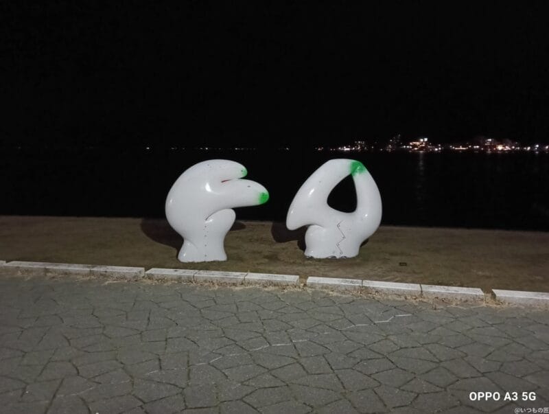 OPPO A3 5G カメラ OPPO A3 5G カメラでズーム撮影した夜景写真