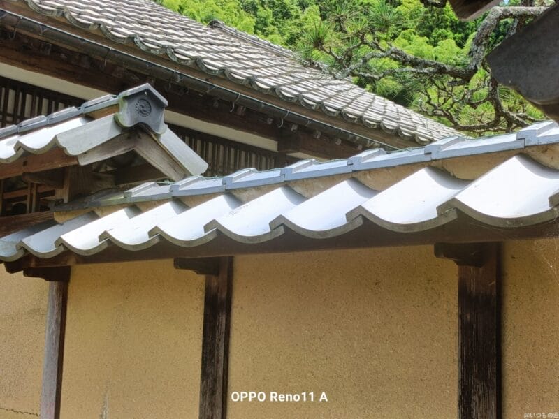 OPPO A3 5G カメラ OPPO Reno11 A カメラで撮影した風景写真