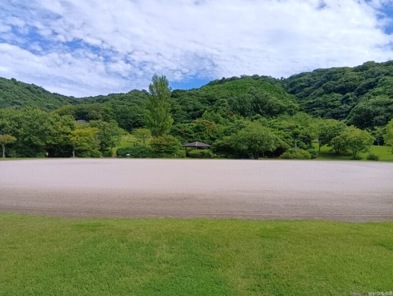 moto g64 5G カメラ AQUOS wish4 カメラで撮影した風景写真