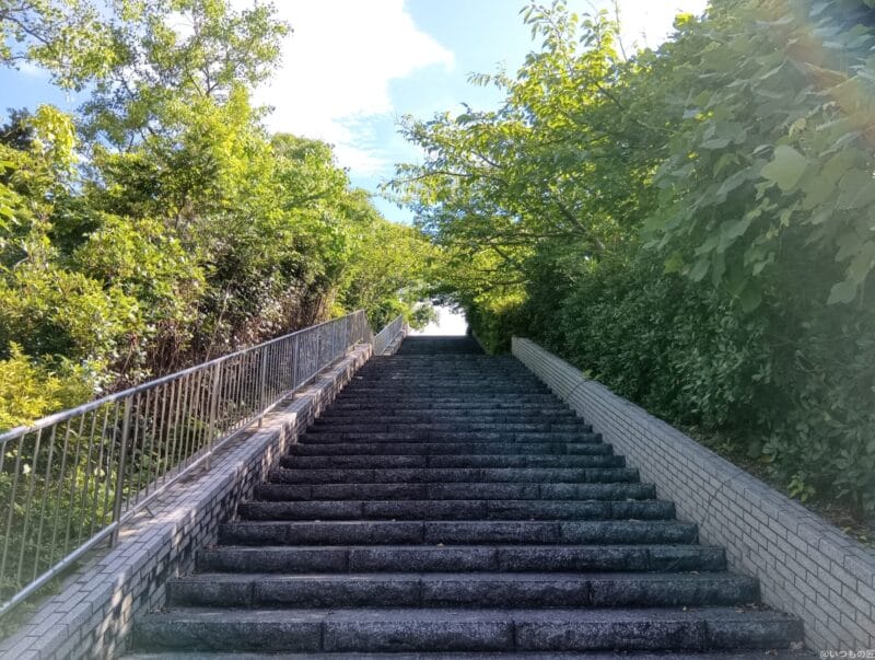 aquos wish4 カメラで撮影した風景写真 | モバイル比較レビュー.jp moto g64 5G カメラ AQUOS wish4 カメラで撮影した風景写真