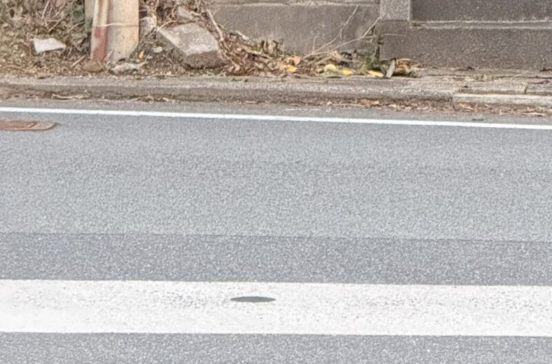 iphone 16 pro maxで撮影した風景写真 | モバイル比較レビュー.jp AQUOS R9 pro カメラ iPhone 16 Pro MAXで撮影した風景写真