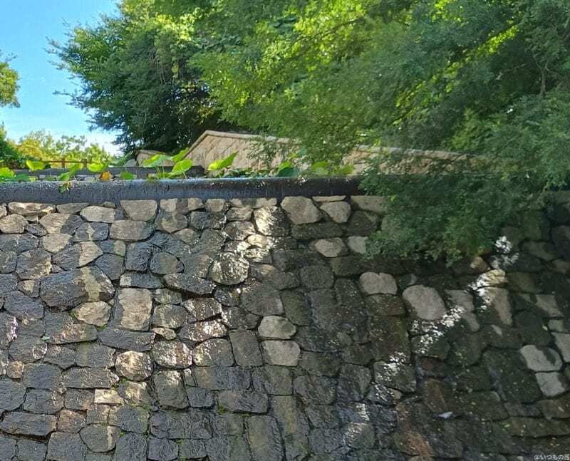 moto g64 5G カメラ moto g64 5G カメラでHDR撮影した風景写真