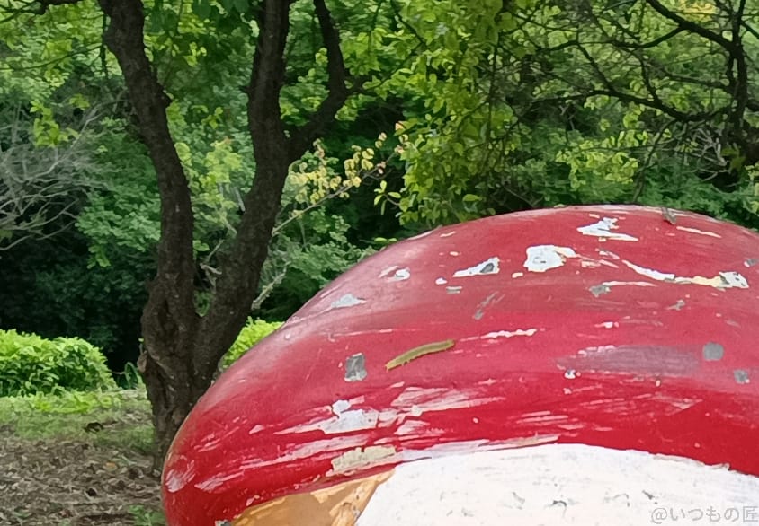 moto g64 5G カメラ moto g64 5G インカメラで撮影した写真