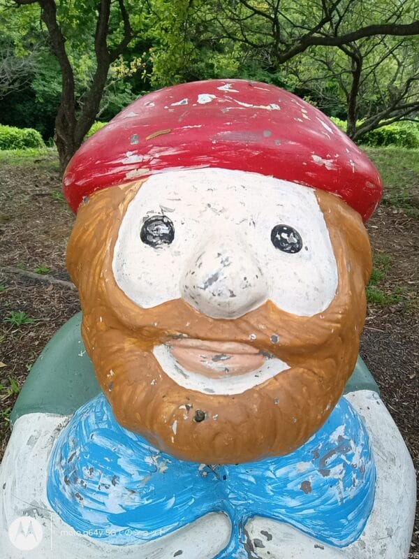 moto g64 5G カメラ moto g64 5G インカメラで撮影した写真