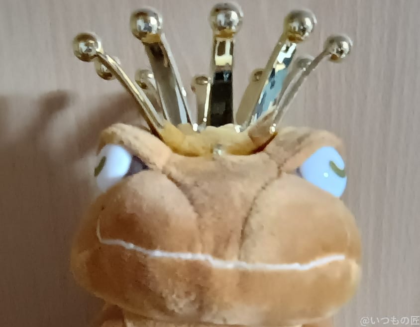 moto g64 5G カメラ moto g64 5G インカメラで撮影した写真