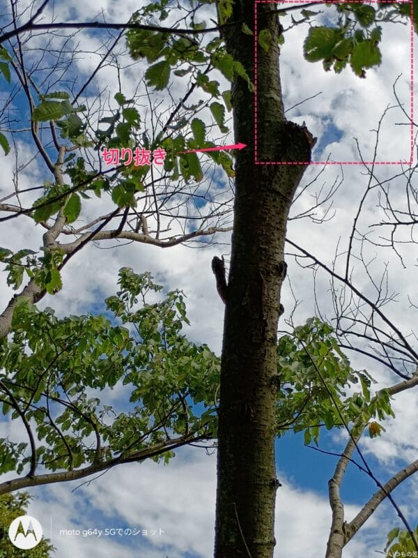 moto g64 5G カメラ moto g64 5G カメラで撮影した風景写真