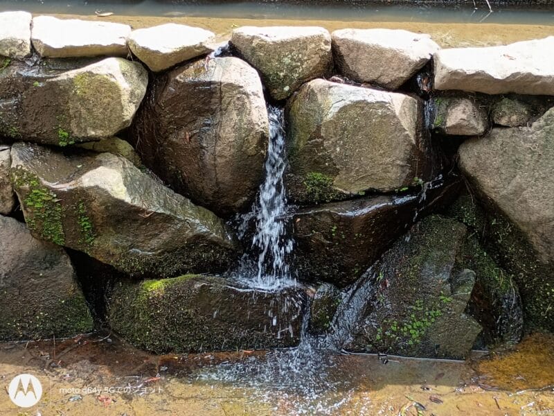 moto g64 5g カメラで撮影した風景写真 | モバイル比較レビュー.jp moto g64 5G カメラ moto g64 5G カメラで撮影した風景写真