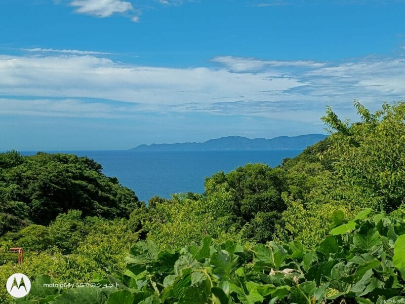 moto g64 5G カメラ moto g64 5G カメラで撮影した風景写真