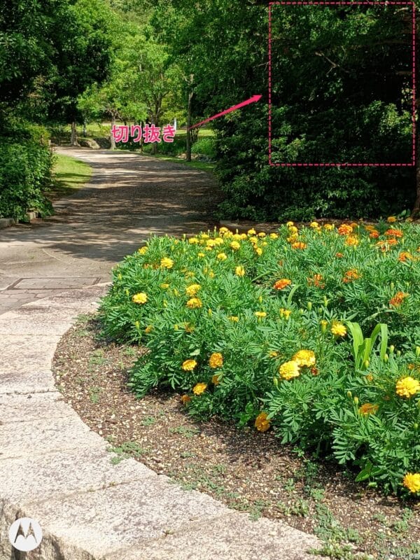 moto g64 5G カメラ moto g64 5G カメラで撮影した風景写真