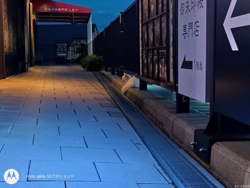 moto g64 5G カメラ moto g64 5G カメラで暗所撮影した写真