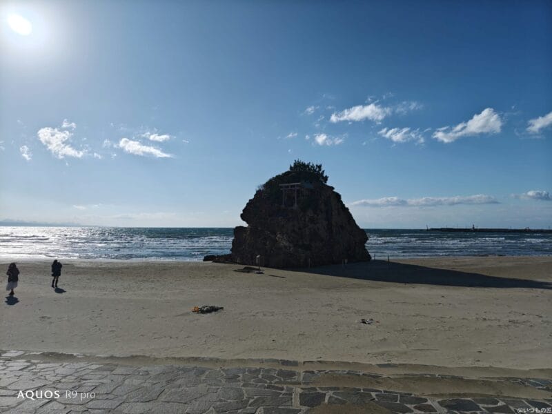 AQUOS R9 pro カメラ AQUOS R9 proでズーム撮影した写真