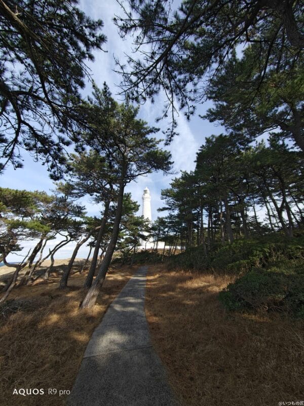 AQUOS R9 pro カメラ AQUOS R9 proでズーム撮影した風景写真