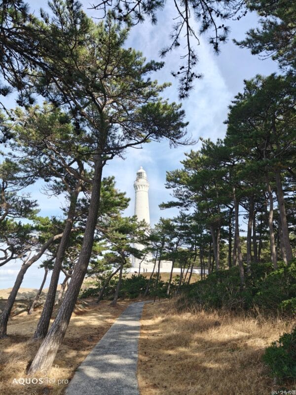 AQUOS R9 pro カメラ AQUOS R9 proでズーム撮影した写真