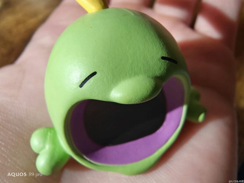 aquos r9 proでマクロ撮影した写真 | モバイル比較レビュー.jp AQUOS R9 pro カメラ AQUOS R9 proでマクロ撮影した写真