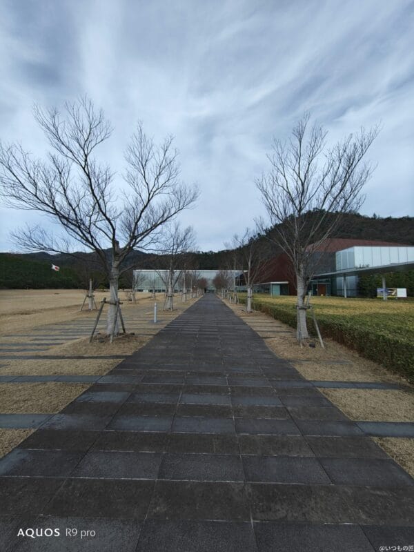 AQUOS R9 pro カメラ AQUOS R9 proで撮影した風景写真