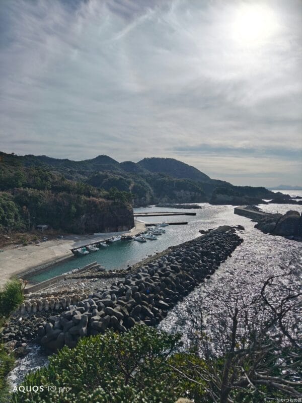 AQUOS R9 pro カメラ AQUOS R9 proで撮影した風景写真