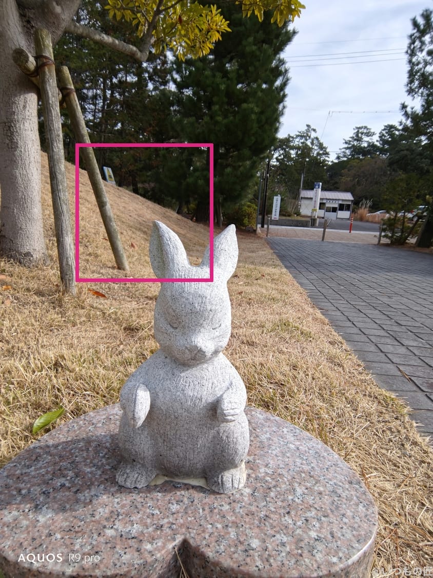 AQUOS R9 pro カメラ AQUOS R9 proのインカメラで撮影した写真