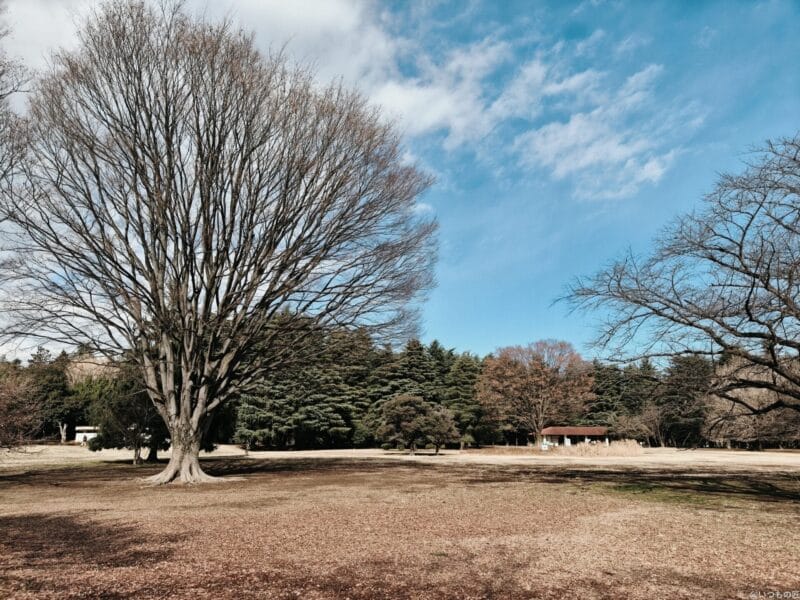 OPPO Find X8 カメラ OPPO Find X8で撮影したポートレート写真