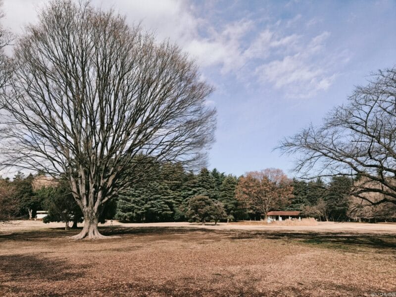 OPPO Find X8 カメラ OPPO Find X8で撮影したポートレート写真