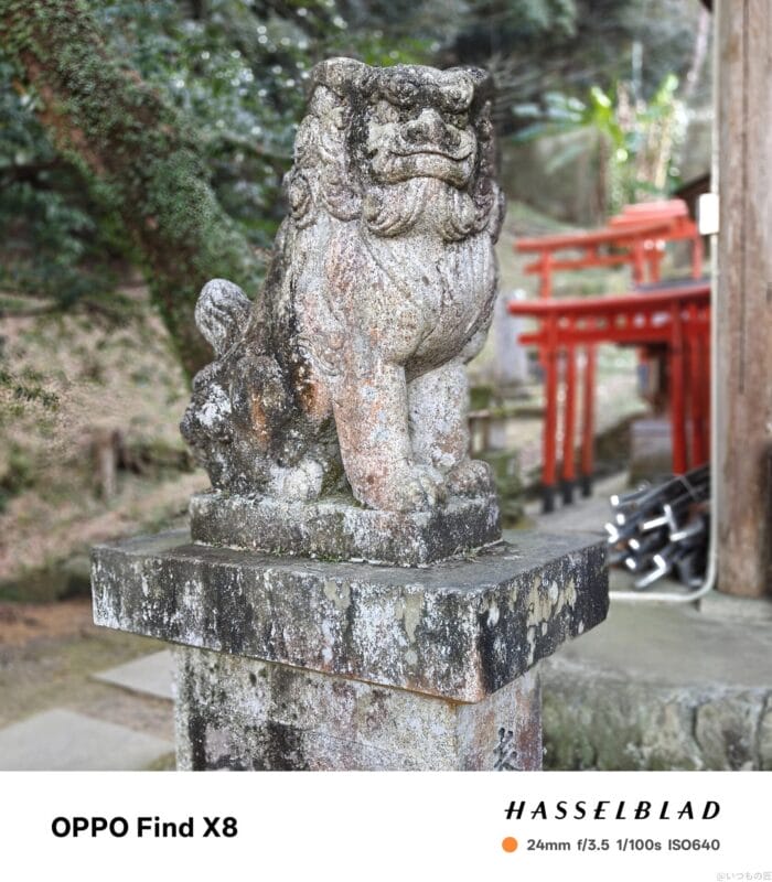 OPPO Find X8 カメラ OPPO Find X8で撮影したポートレート写真