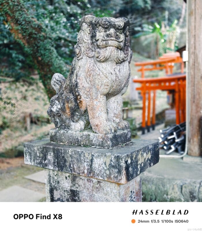 OPPO Find X8 カメラ OPPO Find X8で撮影したポートレート写真