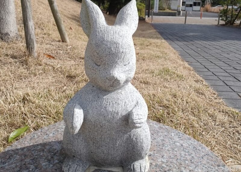 OPPO Find X8 カメラ OPPO Find X8のインカメラで撮影した写真